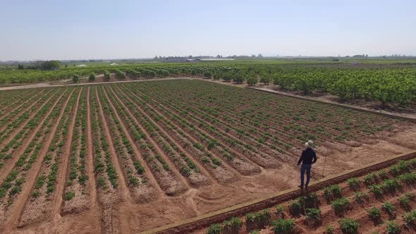 Farmer Walks Through The Fields  alt