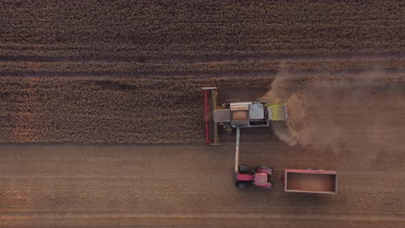 Drone Of Combine And Tractor Harvesting Crops In Field alt