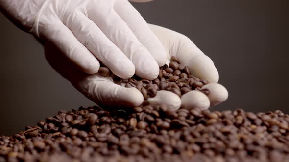 Closeup Roasted Coffee Grains in Hand alt