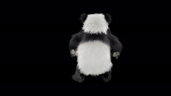 Panda Dancing 4K alt