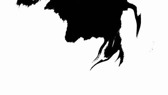 Bloom Ink. Beautiful White Watercolor Ink Drops Transition on Black Background. alt