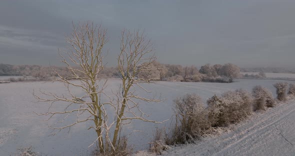 Warwickshire UK Winter Snow Tree Countryside Landscape Aerial View