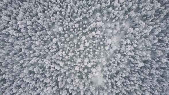 Aerial Top View From Drone Birds Eye View of Winter Landscape and Snowy Ice Road Car Moving on Area