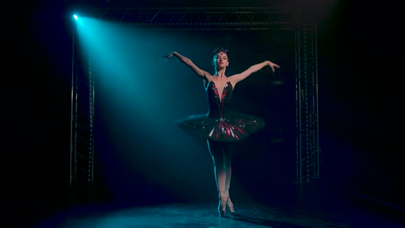 Graceful Ballerina in a Chic Image of a Black Swan. Classical Ballet Choreography. Shot in a Dark alt