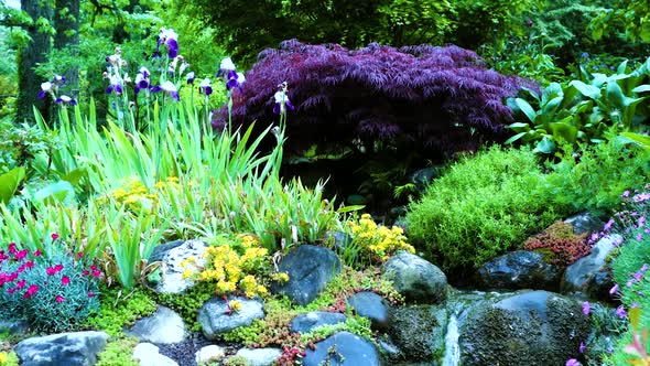 Beautiful Nature With A Tree, A Stream And Stones  alt