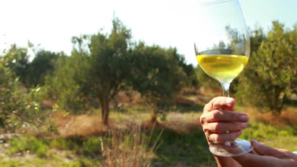 Woman examining glass of wine 4k alt