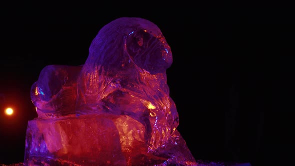 Red and Purple Lighting Around an Ice Sculpture of a Lion in the Studio alt