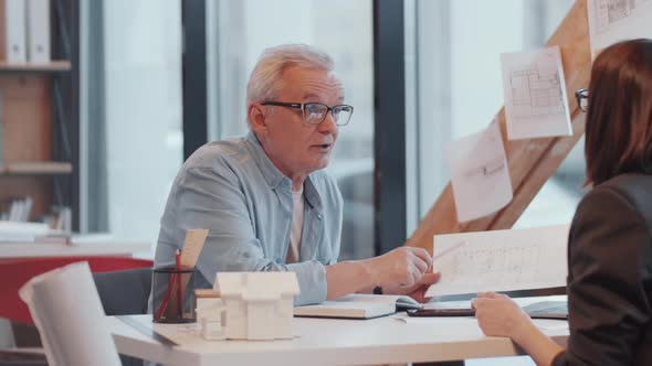 Mixed-Aged Colleagues Discussing Architectural Plan in Office alt