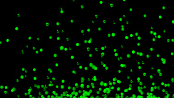 Bright Green Water Gel Balls Bouncing Against a Black Background alt