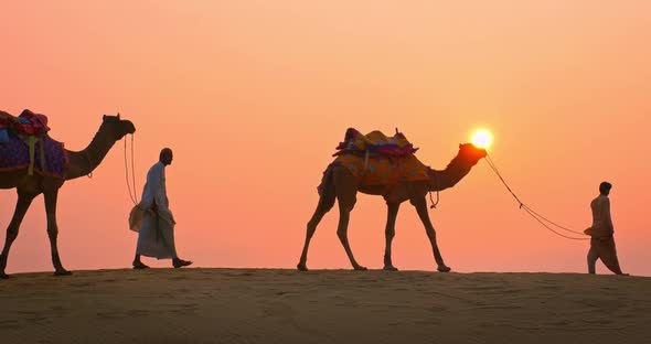 Indian Cameleers (Camel Driver) Bedouin with Camel Silhouettes in Sand Dunes of Thar Desert on alt