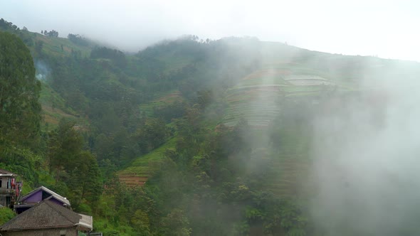 Green hills of Butuh village shrouded from thick fog, Magelang in Indonesia. Static view alt
