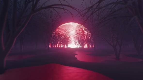 Blood Moon Night In The Dark Forest 4K