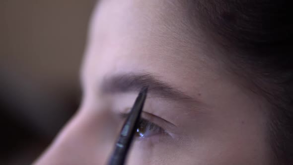 Young Woman Put Make Up Eyebrow Brush for Visage Beauty Blogger Close Up