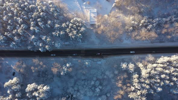 Several Cars Drive Down the Highway in the Middle of a Snowcovered Pine Forest on a Bright Sunny