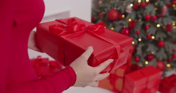 Arrange Gifts Under the Christmas Tree the Girl in Red alt