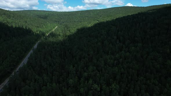 Winding Road in the West Siberian Taiga Ecoregion alt