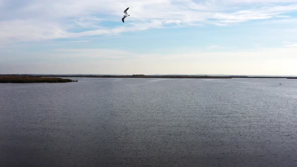 Samarskie Plavni Under the Warm Bright Light of the Evening Sun alt