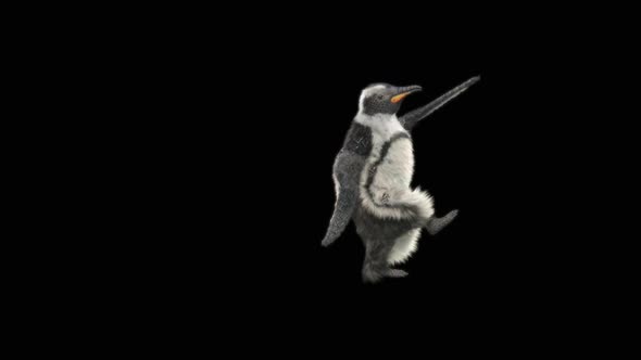 74 Penguin Dancing HD alt