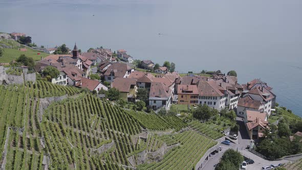Aerial shot of typical village in Lavaux vineyard, SwitzerlandVillage name: RivazShot on Inspire2 alt