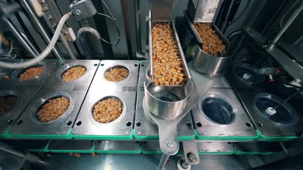 Plastic Plates Are Getting Filled with Bread Crumbs Mechanically. Food Factory Equipment alt
