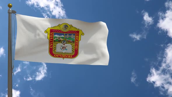 State Of Mexico Flag (Mexico) On Flagpole alt