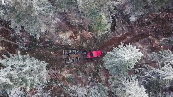 Wood Processing Factory. Aerial shot, Forest Logging Machinery Equipment (Full Pack) 