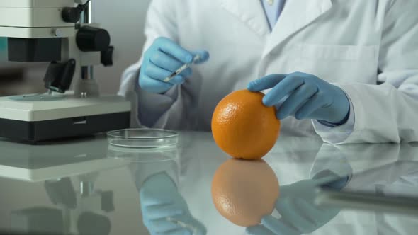 Scientist Preparing Anti-Cellulite Extract From Orange Peel, Cosmetic Laboratory alt