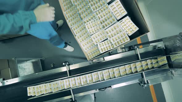 Factory Worker Is Stocking Blisters of Capsules Into a Box. Pharmaceutical Company Produces alt