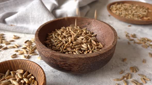 Raw rye seeds in a bowl alt