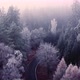 Drone shot of a curvy road through a frosty, misty and foggy forest in winter, snowing - VideoHive Item for Sale