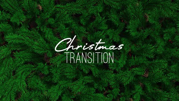 Christmas Transition 03