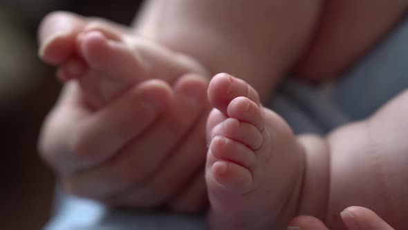 Baby Feet On Mother Hands