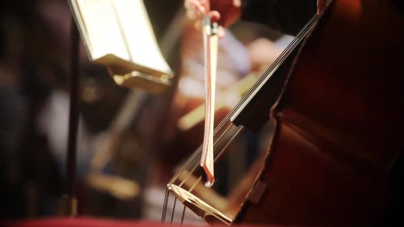 Person performing on a cello