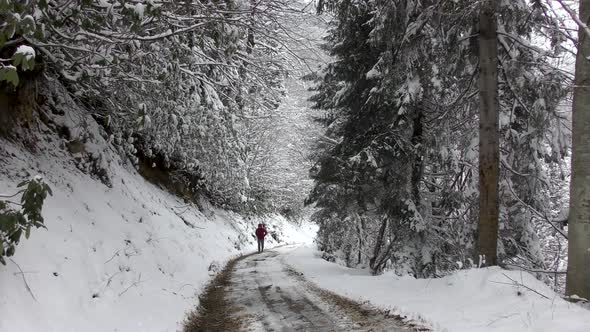 Man Walking Past Snowy Trees