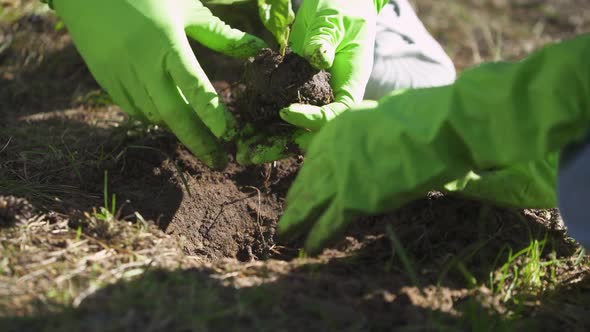 Ecoactivists Planting Plants Volunteer Work for Nature Conservation Planting Plants in the Field alt