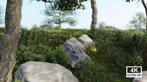 Gray Rock Near Green Grass Field alt