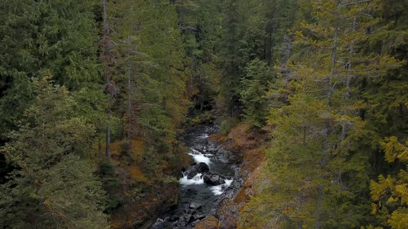 Aerial flying over a small river flowing through a forest in the middle of wilderness. alt