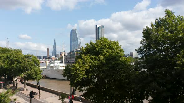 Ascending Forwards Fly Between Trees on Waterfront alt