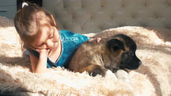 Joyous kid and dog laying on sofa