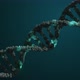 DNA Strand Double Helix Looped Animation - VideoHive Item for Sale