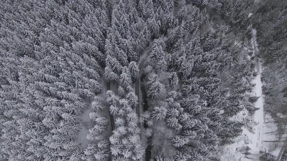 FPV Drone Clip From A Snow Covered Forest alt