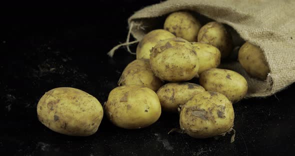 Potatoes on Black Surfase in a Canvas Bag. Fresh Dirty Raw Potato in a Pile alt