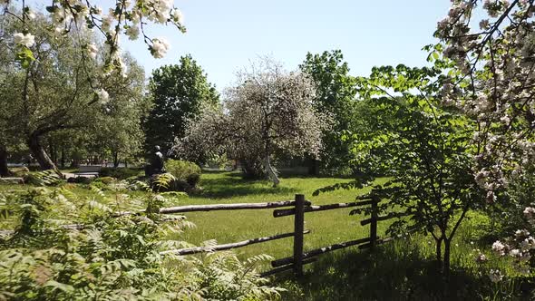 Blooming apple orchard 04 alt