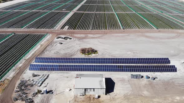 Aerial View of a Strawberry Farm with Solar Panels in Australia