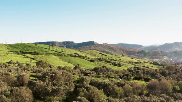 Italian Green Cultivated Hills alt