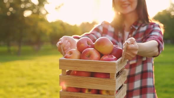 Side view of a positive young woman holding a wooden crate with juicy red apples