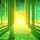 Sunset Through Green Forest - Loop - VideoHive Item for Sale
