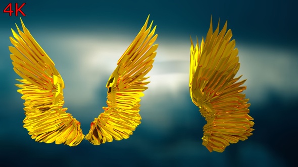 Angel Wings Golden