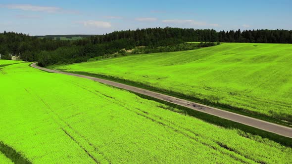 Drone Flying Over Green Field Harvest Crops in the Countryside with Road