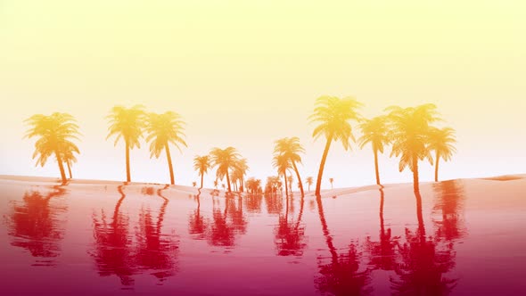 Palm Tree Sunrise 4K alt